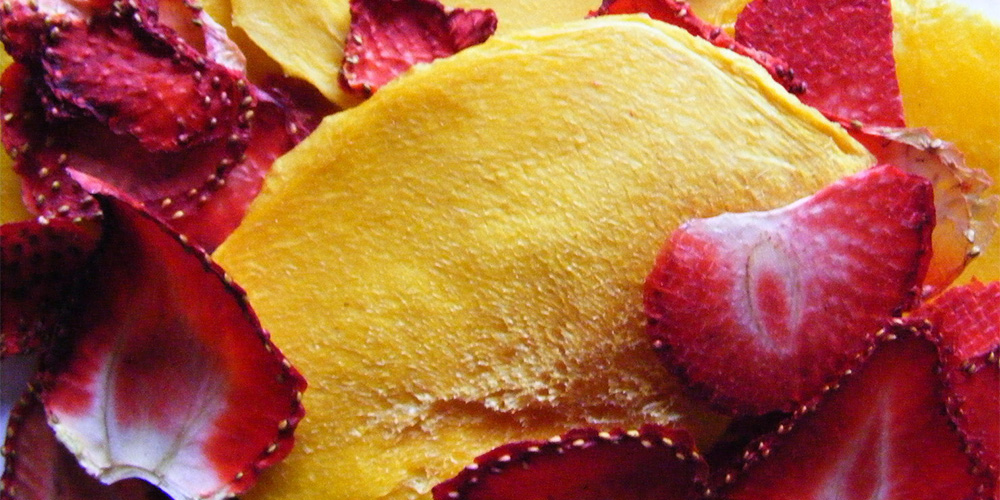 Cómo liofilizar frutas y hortalizas. Productos, equipos y procesos asociados